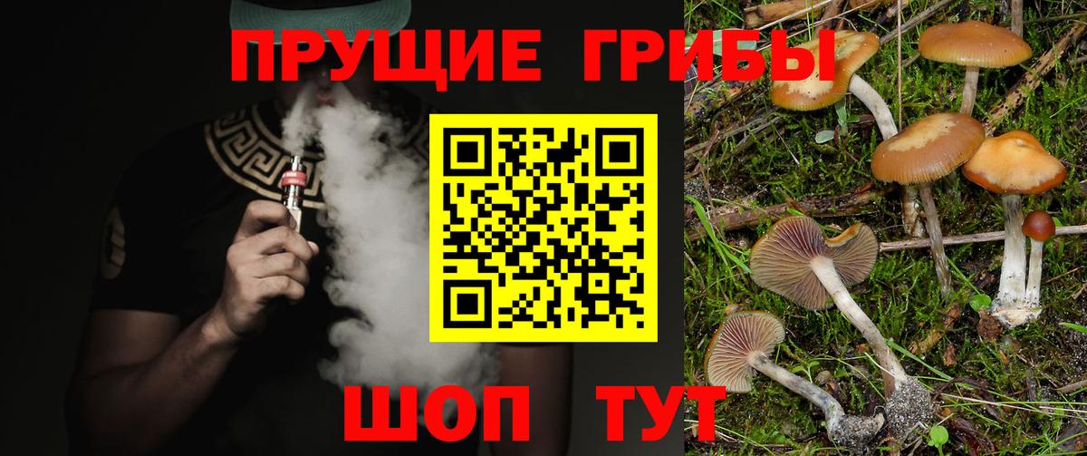 Нальчик  Галлюциногенные грибы ЛСД  Вход с VPN  Псилоцибиновые грибы мицелий 